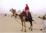 Dawn on a&nbsp;camel