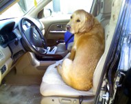Grendel driving 