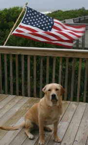 I, Grendel, pledge alliegance...