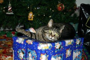 M on the presents