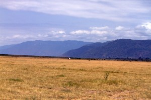 The Great Rift Valley escarpment.
