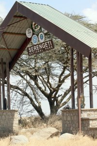 Serengeti gate