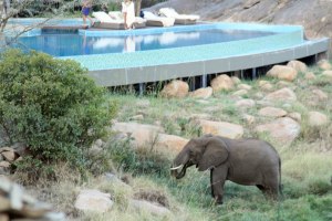 The elephants were very close to the pool and right outside our rooms.