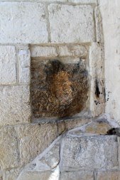 The indentation in the wall where Jesus placed His hand.