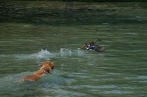 10398500_57849247487_8050124_n